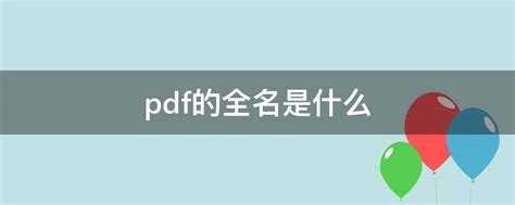 pdf 全名